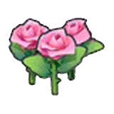 Beautiful flower (pink)